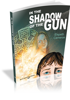In The Shadow Of The Gun Book and Activity Book