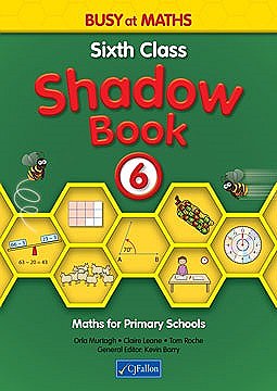 Busy At Maths 6 Shadow Book
